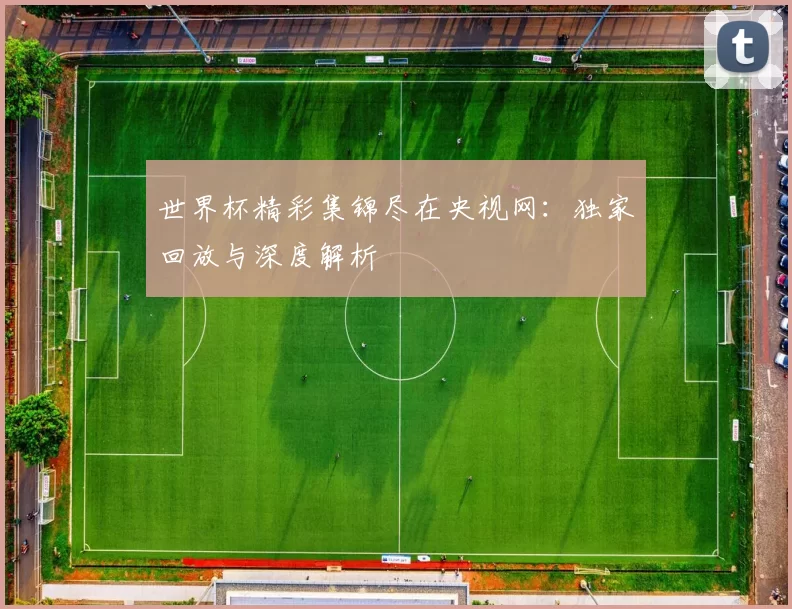 世界杯精彩集锦尽在央视网:独家回放与深度解析