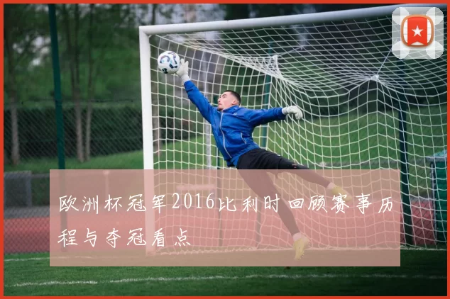 欧洲杯冠军2016比利时回顾赛事历程与夺冠看点