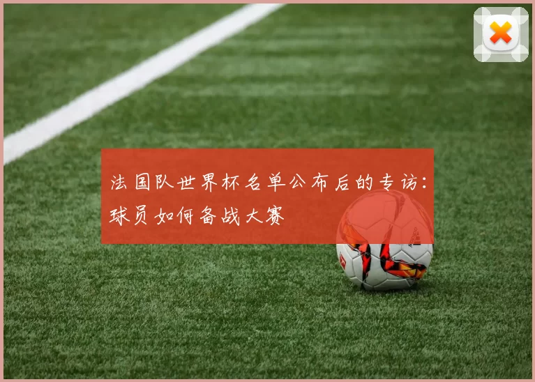 法国队世界杯名单公布后的专访:球员如何备战大赛