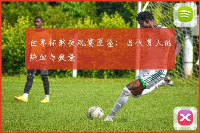 世界杯熬夜观赛图鉴：当代男人的热血与疲惫