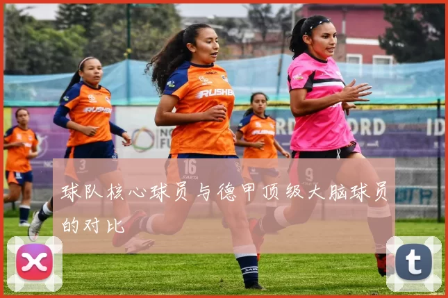 球队核心球员与德甲顶级大脑球员的对比
