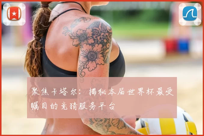 聚焦卡塔尔：揭秘本届世界杯最受瞩目的竞猜服务平台