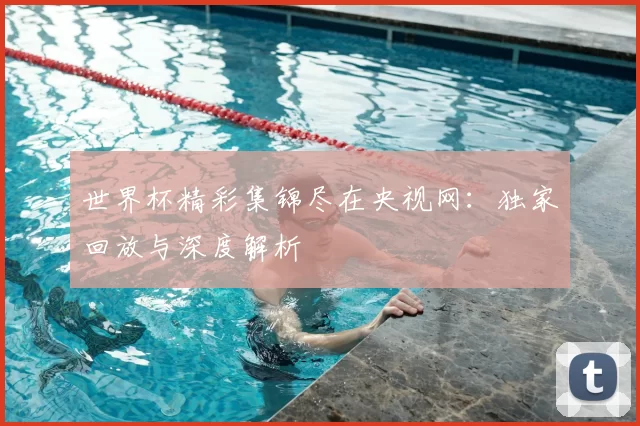 世界杯精彩集锦尽在央视网:独家回放与深度解析