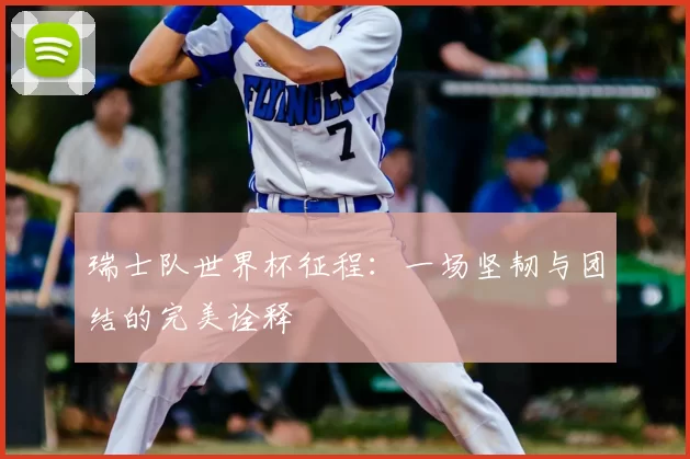 瑞士队世界杯征程:一场坚韧与团结的完美诠释